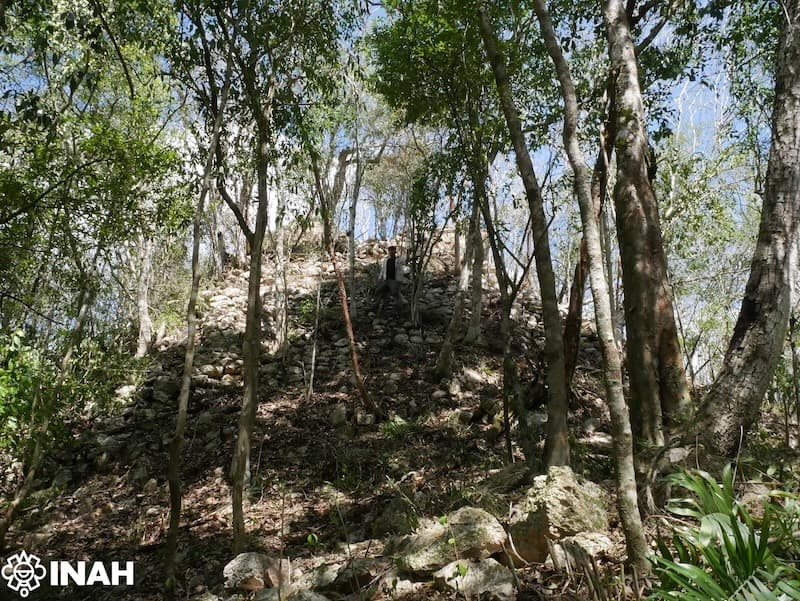 Ruinas de la ciudad maya de Minanbé en la densa selva de Campeche, revelando su antigüedad y conexión histórica.