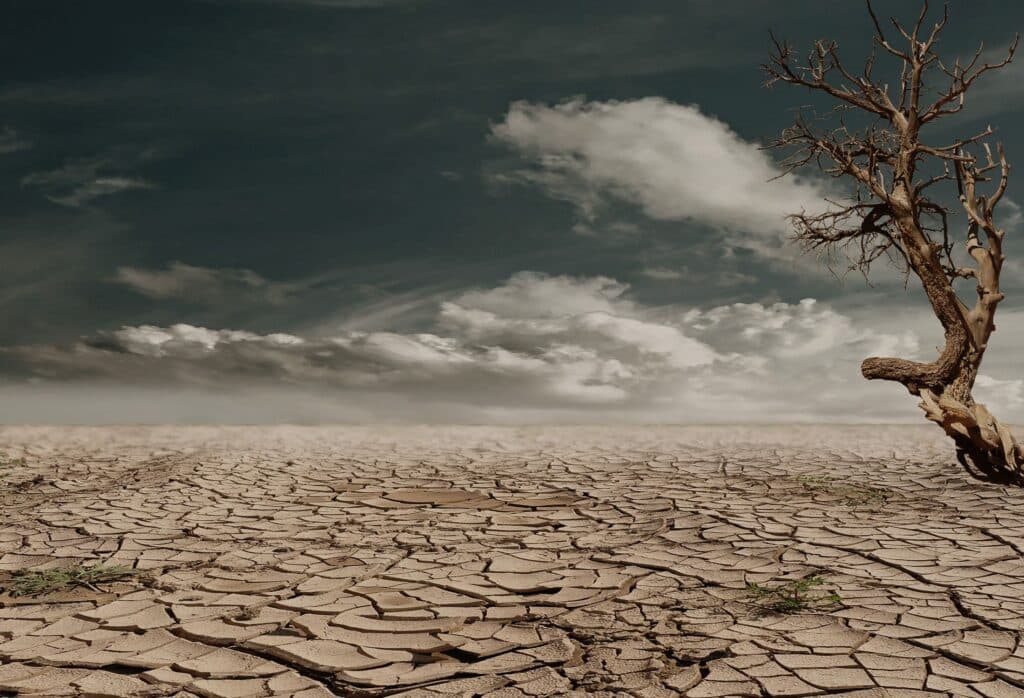 Tierra agrietada y seca con un árbol solitario, simbolizando los efectos de sequías extremas por el fenómeno de El Niño.