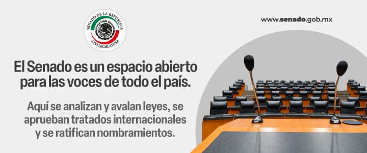 El Senado es un espacio abierto para las voces de todo el país