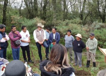 La ventaja de Armenta es inalcanzable ya en la última etapa de la campaña