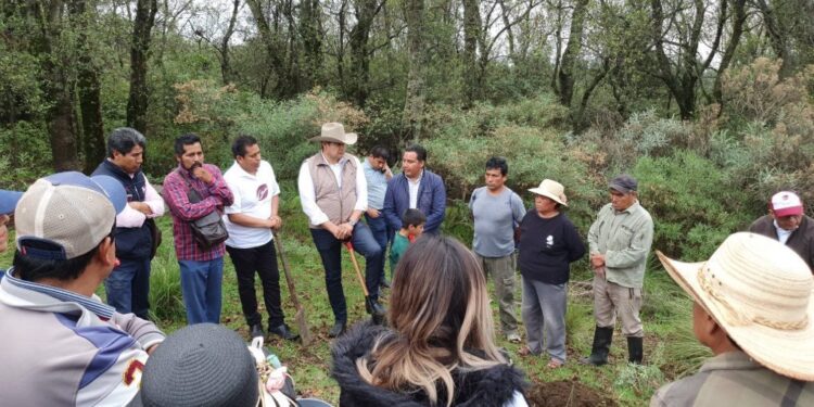 La ventaja de Armenta es inalcanzable ya en la última etapa de la campaña