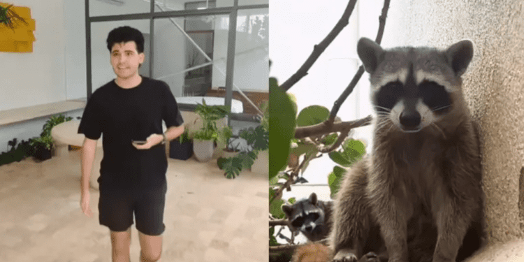 Joven prepara “arca de Noé” para proteger a sus animales