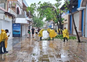 Solidaridad registra saldo blanco tras el paso de Beryl