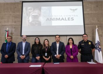 Coordina Gobierno Municipal capacitación sobre diferencias entre maltrato y crueldad animal